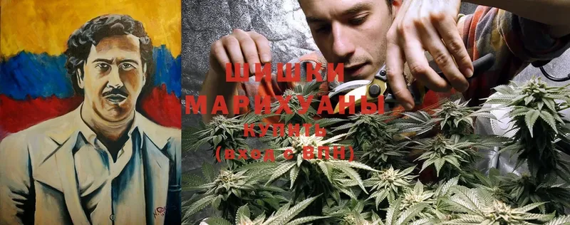 Шишки марихуана White Widow  Железногорск-Илимский 